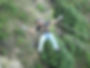 Activities Mukteshwar Camping